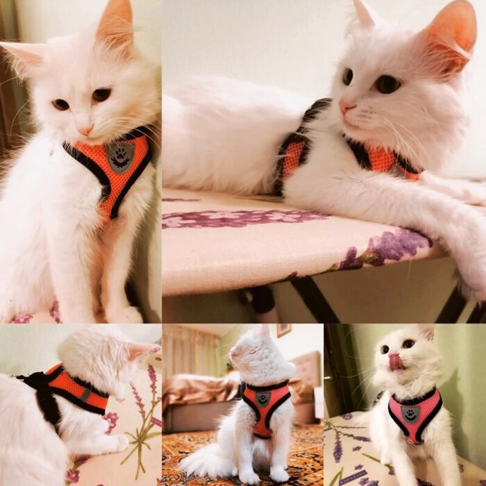 Cat-Harness-Vest-Walking-Lead-Leash-For-Puppy-Dogs-Collar-Polyester-Adjustable-Mesh-Dog-Harness-For